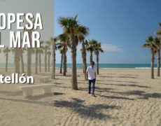 Descubre la magia del cine al aire libre en las playas de Castellón: ¡Una experiencia única!