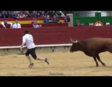 Descubre la magia de la Fiesta de la Rosa de Oro en Castellón: un viaje inolvidable de turismo y cultura