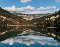 Descubre la magia de la observación de aves en el Parque Natural de la Tinença de Benifassà, un destino imperdible para los amantes del turismo y la naturaleza