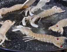 Descubre el encanto gastronómico de Castellón en Restaurante Tasca el Corral: una parada imprescindible en tu viaje de turismo