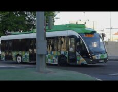 Descubre la vibrante vida nocturna del Grao de Castellón: ¡Una experiencia que no puedes perderte!