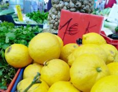 Descubre la auténtica esencia de Castellón en un viaje por sus mercados locales