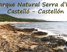 Descubre la belleza natural de Castellón: turismo en parques imprescindibles